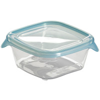 Rasia Fresh & Go 0,25 l